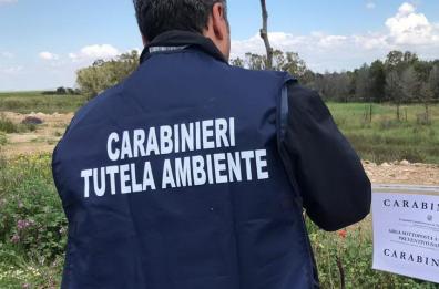 Altamura, discarica a cielo aperto di rifiuti pericolosi: denunciata coppia