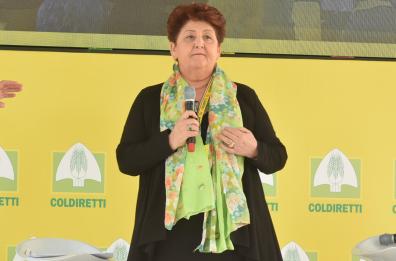 Xylella, Lezzi accusa ministro Bellanova: distrae 40 mln fondi per Gal suo segretario. Renzi: «Attacchi disgustosi»