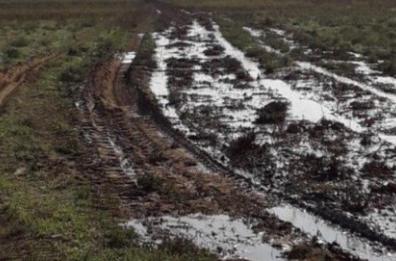 Torricella, sversavano liquami in campagna: arrestati zio e nipote