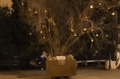 Xylella, a Melissano l'albero di Natale in piazza è un ulivo disseccato