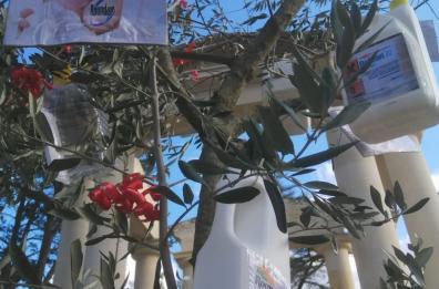 Martano, l'albero di Natale è un ulivo secco con bottiglie di pesticidi al posto delle decorazioni