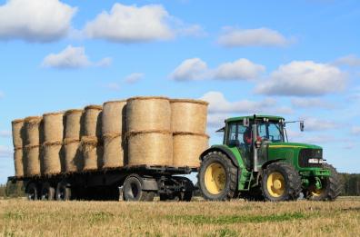 Agricoltura, Puglia rischia 86 mln di fondi. Fitto: Emiliano si vergogni. La replica: avremo la deroga