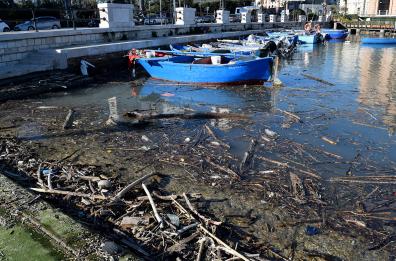 Bari, mareggiata sul lungomare: alghe e rami si accumulano al molo San Nicola