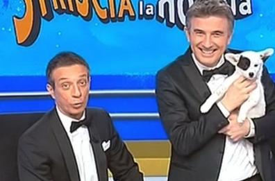 Laterza, una cucciola del canile star di Striscia la Notizia