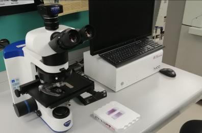 Bari, diagnosi tumori viaggia su rete 5G: possibili collegamenti con luminari dall'altra parte del mondo