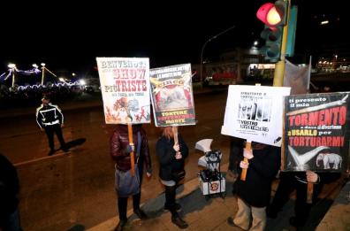 Bai, un presidio per dire no agli animali nel circo