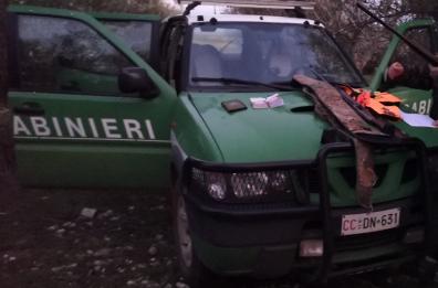 Potenza, si fa dare denaro e regali: arrestato carabiniere forestale. In manette anche funzionario Ente Parco