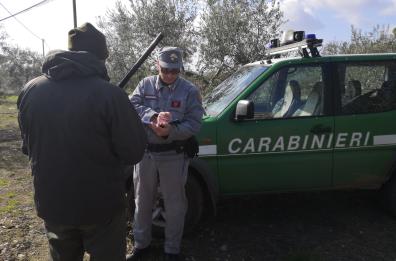 Posta su Fb foto che lo ritrae con il fucile accanto a cinghiale appena ucciso: denunciato pseudo cacciatore