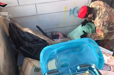Orta Nova, in casa pistole e reperti archeologici: arrestato