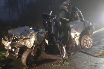 Cremona, si schianta con l'auto contro albero dopo la discoteca: muore 26enne leccese