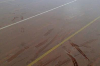 Giovinazzo, vandali devastano palestra di una scuola. La rabbia del sindaco