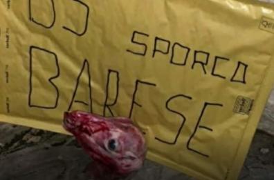 Calcio, lettera minatoria e testa mozzata d'animale inviata al ds del Taranto
