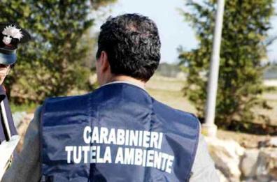 Rifiuti sotterrati nel Parco del Gargano: 6 arresti. Si voleva costruire un b&b sull'amianto