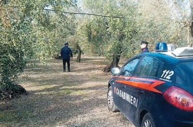 Foggia, nelle campagne torna il Far West 