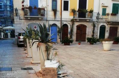 Trani, vandali in azione nel mirino auto e fioriere