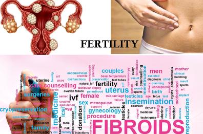 C’è correlazione fra micro inquinanti plastici e sviluppo di fibromi