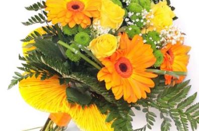 Coronavirus, a Vernole fiori regalati accompagnati da un sorriso 