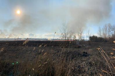 Otranto, 5 ettari di vegetazione in fumo: fermato il presunto piromane