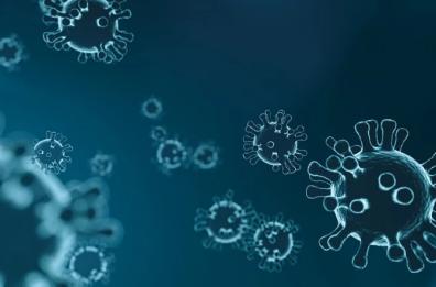 Coronavirus in Puglia, come leggere i dati? Ce li spiega un matematico: rivedi la diretta