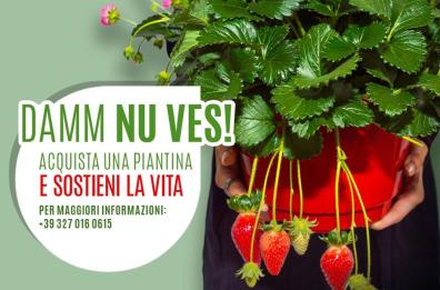 Canosa, «Niente abbracci?  Allora: Damm nu ves» 
