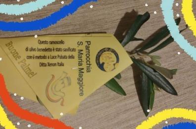 Ramoscelli d'ulivo benedetti e sanificati: il regalo di un parroco di Acquaviva per le Palme