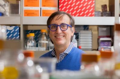 Coronavirus: da Santeramo agli Usa per studiare il vaccino