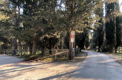 Foresta Mercadante deserta: la Pasquetta inedita di Bari e provincia