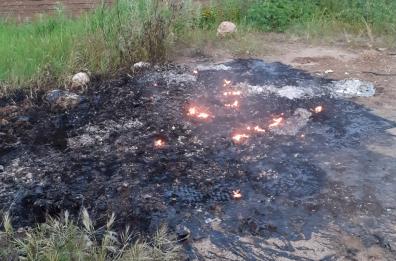 Sannicandro Garganico, bruciava rifiuti smaltiti illecitamente: denunciato  imprenditore agricolo 