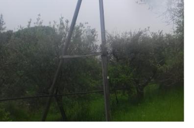 Corato, i pali telefonici «eterni» non si schiodano dal fondo privato