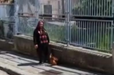 Castellana, così la signora portò a passeggio la gallina