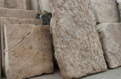 Brindisi, ricettava chianche trafugate nei giorni scorsi: denunciato titolare di azienda 