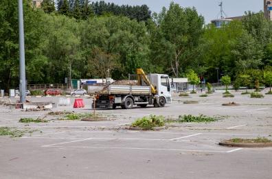 Ospedale-campo a Potenza: il taglio di alberi scatena l'ira degli ambientalisti 