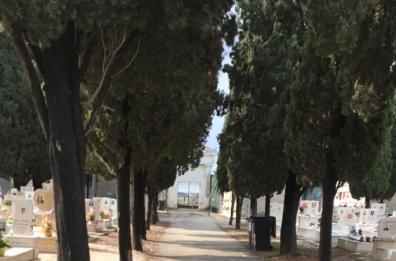 Barletta, cimitero: «Licenziamento dell’operaio determinato da motivi di natura disciplinare»