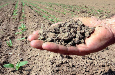 Montalbano Jonico,  la crisi irrigua spinge gli agricoltori in piazza
