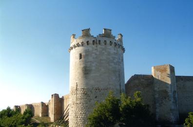 Lucera, il progetto per valorizzare la fortezza sveva-angioina presentato sul web