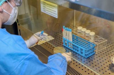 Coronavirus in Italia, 321 nuovi casi e zero contagi in 9 Regioni. Altre 71 vittime 