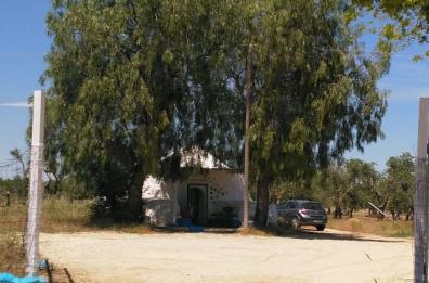 Ex statale 98, riprende il mercato del sesso «ma con guanti e mascherine» 