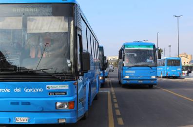 Foggia, trasporto pubblico: dal Covid la mazzata, ora stop alla riforma