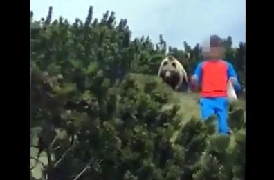 L'orso e il bambino in Trentino-Alto Adige