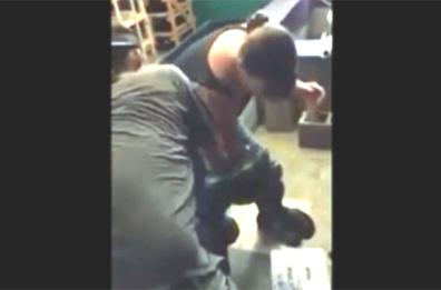 Video shock, serpente esce dalla teca e attacca una donna