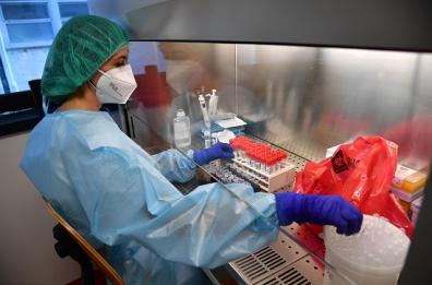 Covid, da oggi in Puglia c’è «Immuni»: per sperimentarla servono 100mila persone
