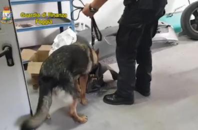 Eroina e cocaina da Lucera al Molise: 6 arresti, smantellato gruppo criminale