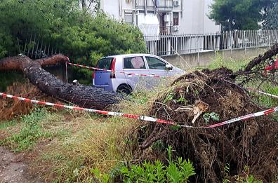 Maltempo a Bari, alberi caduti e strade allagate: chiusi alcuni sottopassi 