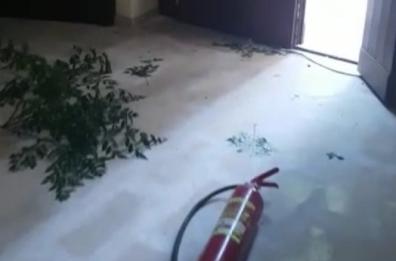 Andria, vandali in azione nel centro antiviolenza
