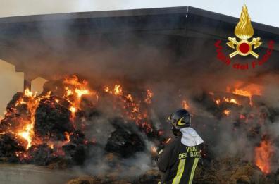 Brindisi, incendio in azienda agricola ingenti i danni: oltre 1000 balle di fieno in fumo