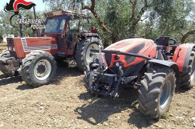 San Severo, rinvenuti trattori rubati nel Molise: erano nascosti tra la vegetazione 