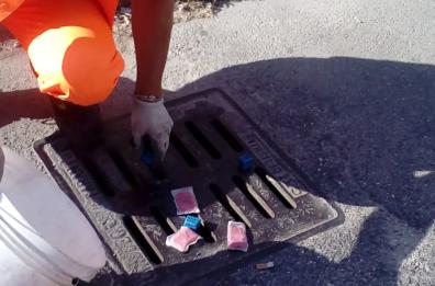 Taranto, lotta a blatte e topi: al via opere mirate di disinfestazione