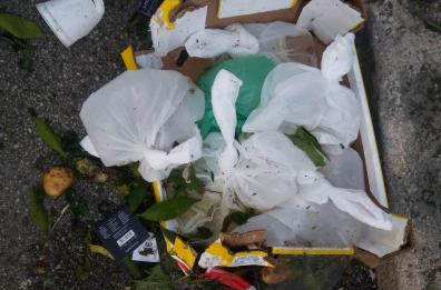 Altamura, sacchetti pieni di urina: sos igiene al mercato