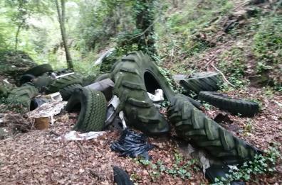 Auto, 200 pneumatici e bare abbandonati nel bosco di Gravina: sequestrati