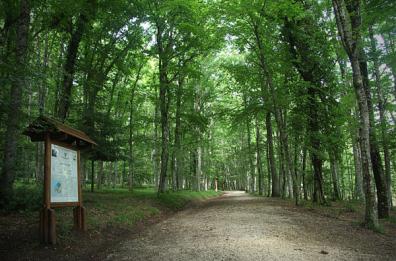 Foresta Umbra, approvato protocollo d'intesa su nuovo presidio Vigili del fuoco